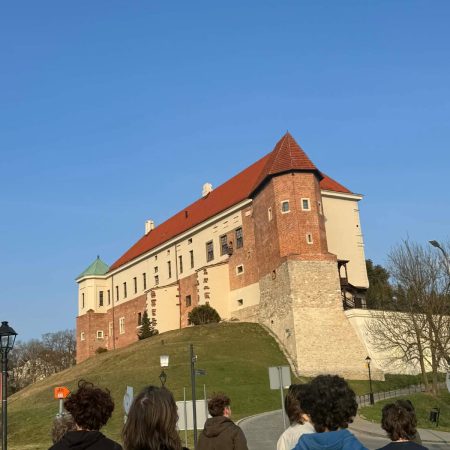 WhatsApp Image 2026-03-20 at 10.57.34 (2)