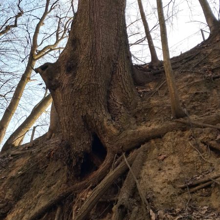 WhatsApp Image 2026-03-20 at 10.57.34 (3)